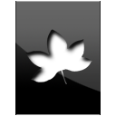 adobe version cue